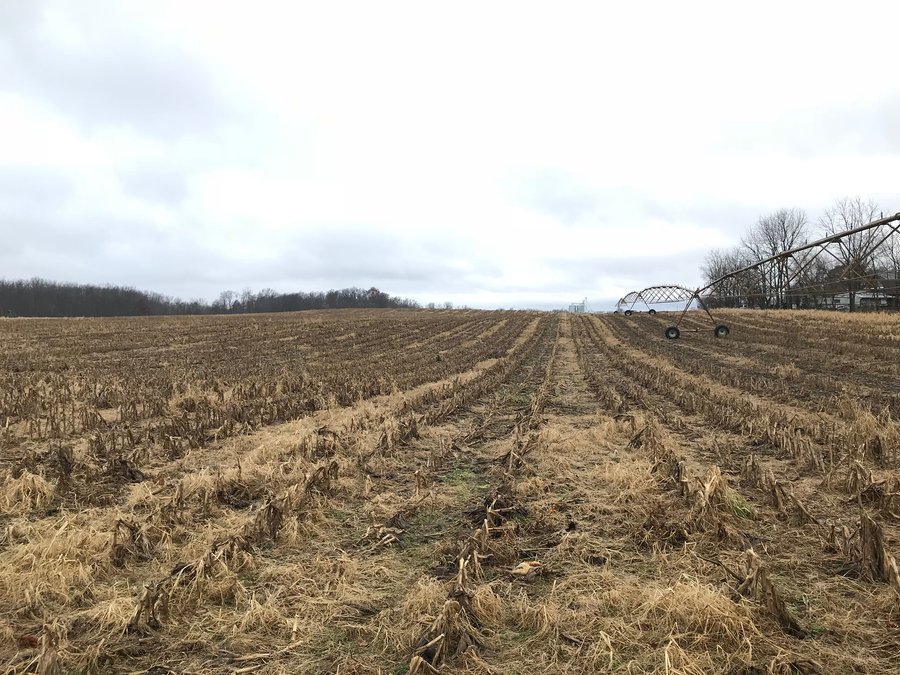 LAND AUCTION - 151+/- ACRES OFFERED IN 11 TRACTS IN STEUBEN COUNTY, INDIANA